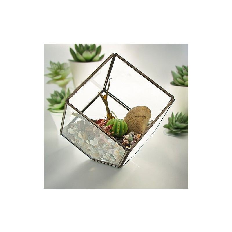 Terrarium en verre - Cube sur coin