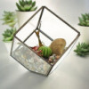 Terrarium en verre - Cube sur coin