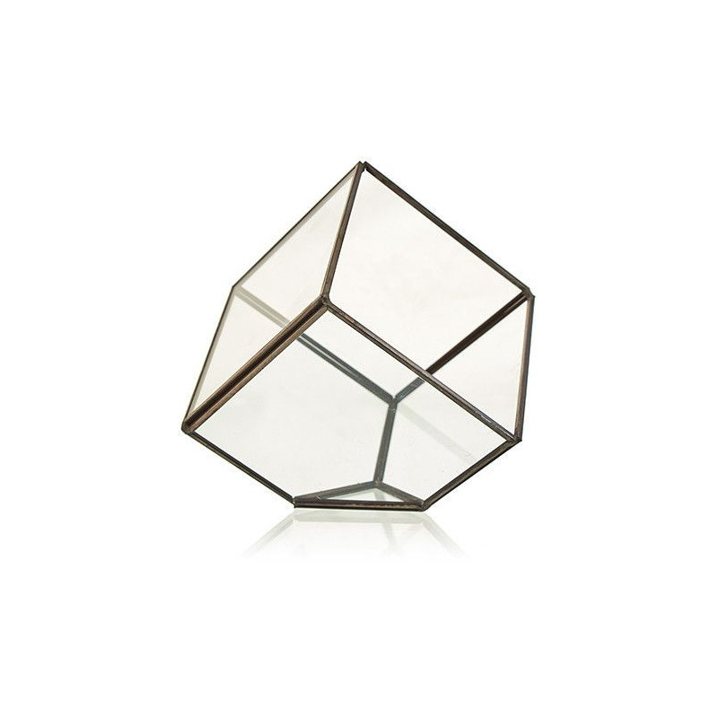 Terrarium en verre - Cube sur coin
