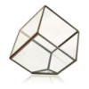 Terrarium en verre - Cube sur coin
