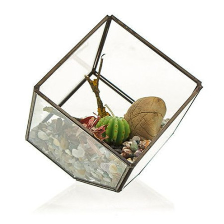 Terrarium en verre - Cube sur coin