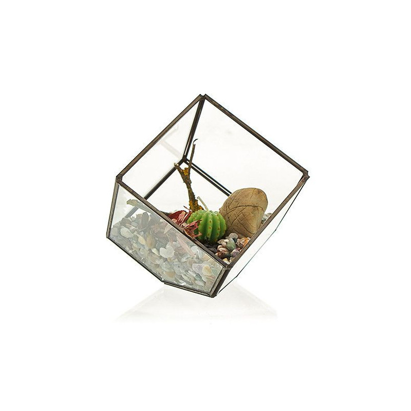 Terrarium en verre - Cube sur coin