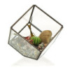 Terrarium en verre - Cube sur coin