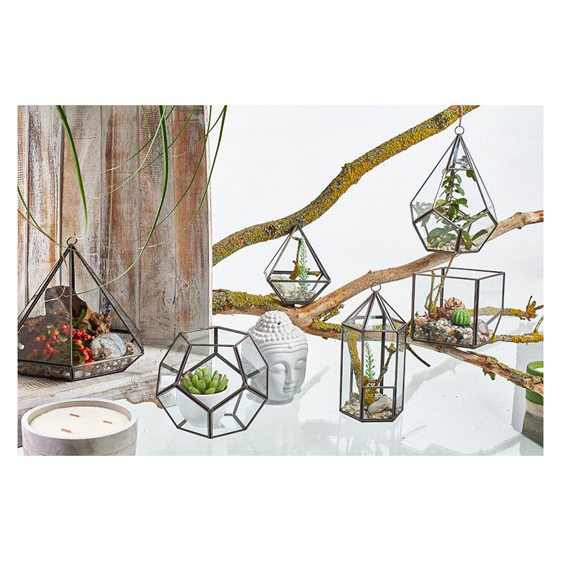 Terrarium en verre - Cube sur coin