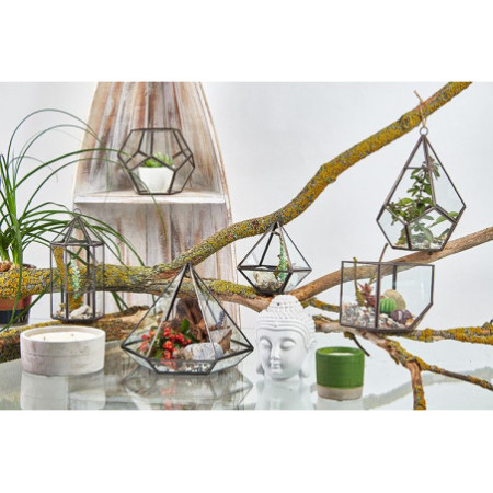Terrarium en verre - Cube sur coin