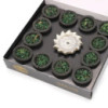 Coffret de 12 coupelles en résine - Sauge blanche