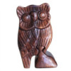 Bali Magic Box - Hibou