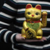 Chat d'argent classique