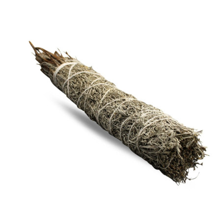 Bâton de maculage - Sauge bleue 22,5 cm