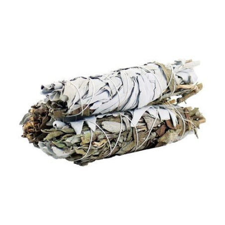 Bâton de maculage - Sauge blanche et sauge noire 10 cm