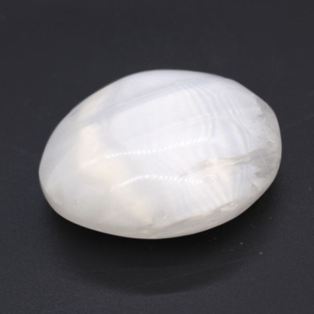 Pierre de palmier en sélénite - 5-7 cm