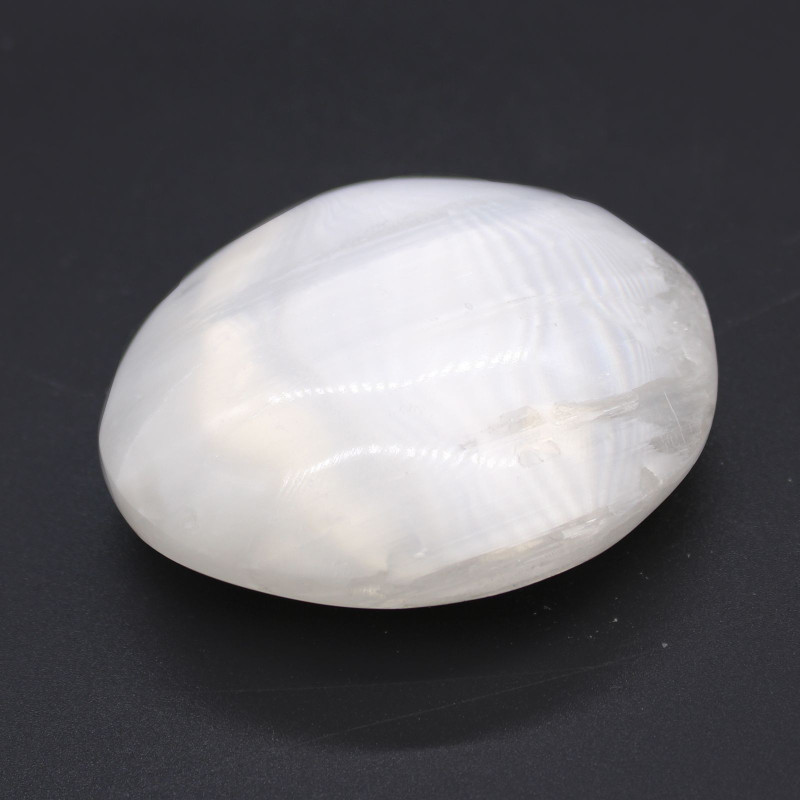 Pierre de palmier en sélénite - 5-7 cm