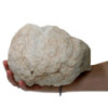 Géodes de calcite - 15-18 cm