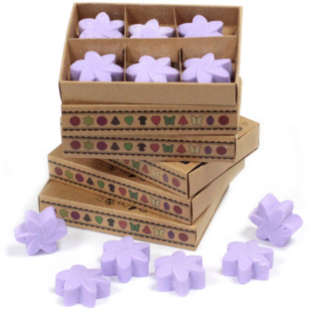 Coffret cadeau de 6 fondants de cire - Champs de lavande