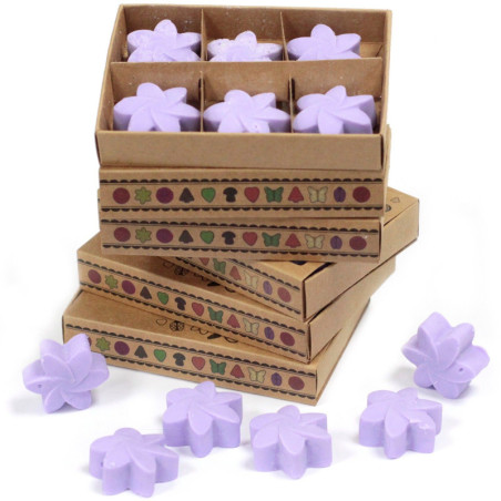 Coffret cadeau de 6 fondants de cire - Champs de lavande