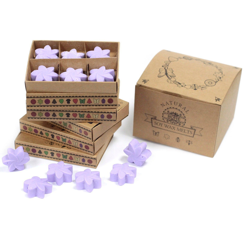 Coffret cadeau de 6 fondants de cire - Champs de lavande