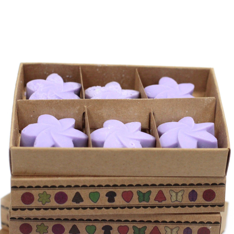 Coffret cadeau de 6 fondants de cire - Champs de lavande