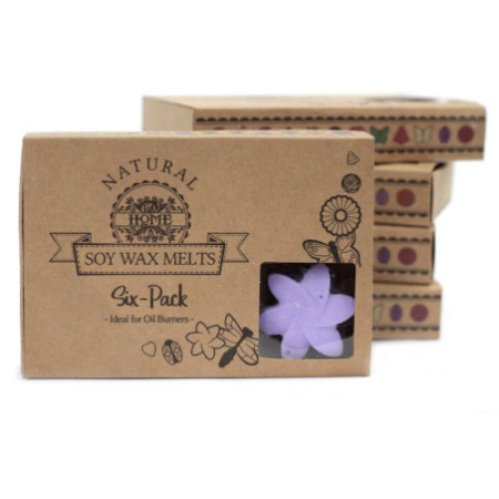 Coffret cadeau de 6 fondants de cire - Champs de lavande