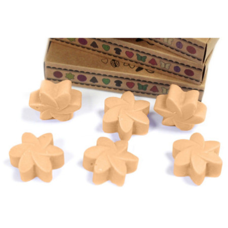 Coffret cadeau de 6 fondants de cire - Jasmin de minuit