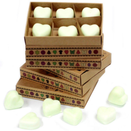 Coffret cadeau de 6 fondants de cire - Pomme épicée