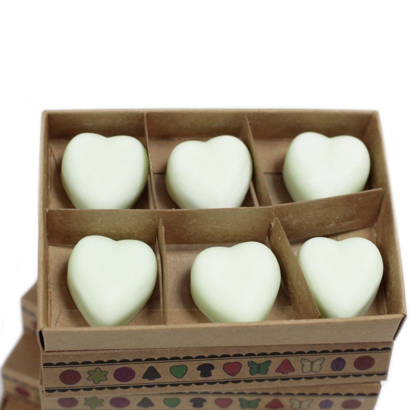 Coffret cadeau de 6 fondants de cire - Pomme épicée
