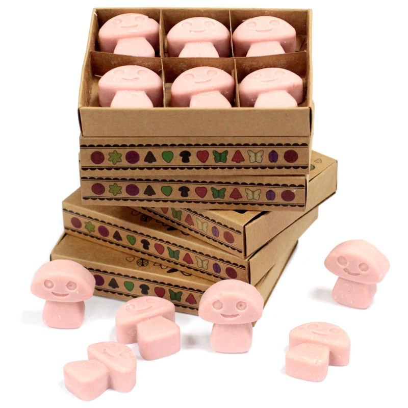Coffret cadeau de 6 fondants de cire - Coffee Trader