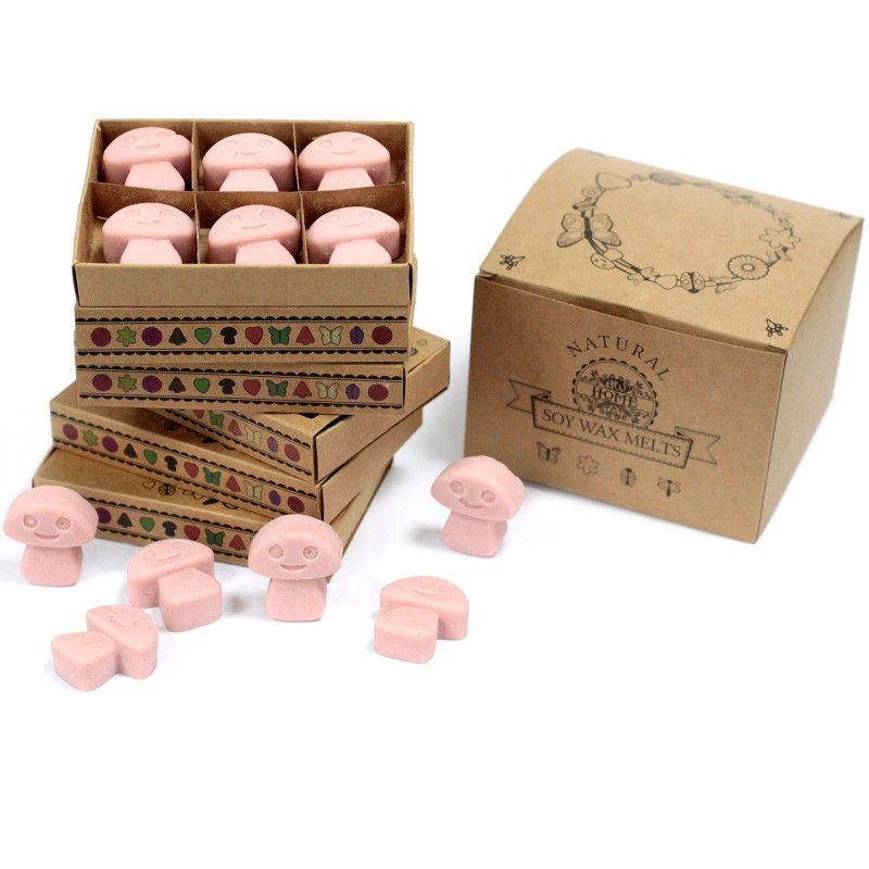 Coffret cadeau de 6 fondants de cire - Coffee Trader