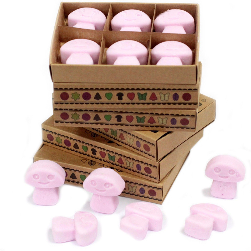 Coffret cadeau de 6 fondants de cire - Ylang Ylang