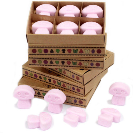 Coffret cadeau de 6 fondants de cire - Ylang Ylang