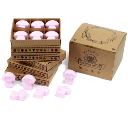 Coffret cadeau de 6 fondants de cire - Ylang Ylang