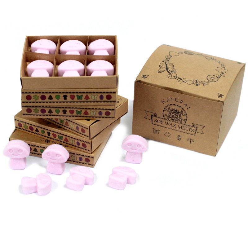 Coffret cadeau de 6 fondants de cire - Ylang Ylang