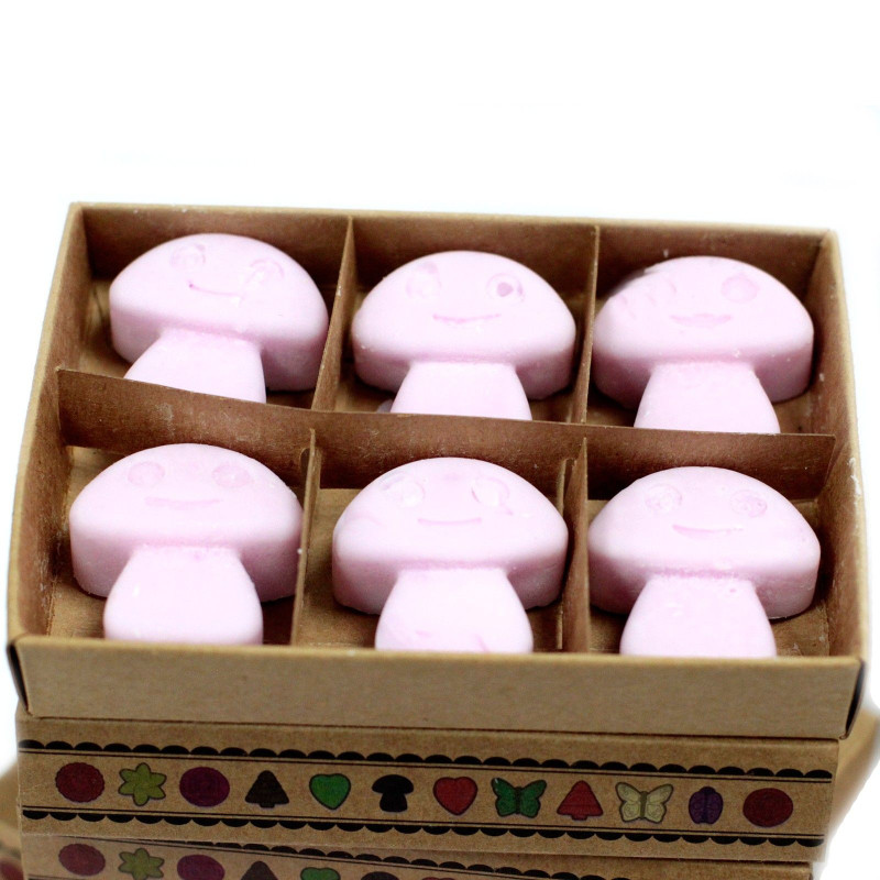 Coffret cadeau de 6 fondants de cire - Ylang Ylang