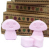 Coffret cadeau de 6 fondants de cire - Ylang Ylang
