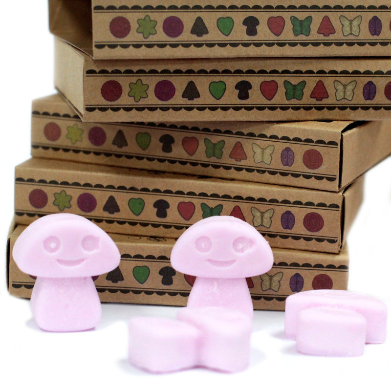 Coffret cadeau de 6 fondants de cire - Ylang Ylang