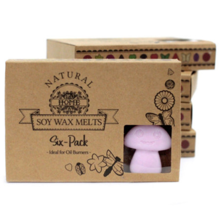 Coffret cadeau de 6 fondants de cire - Ylang Ylang