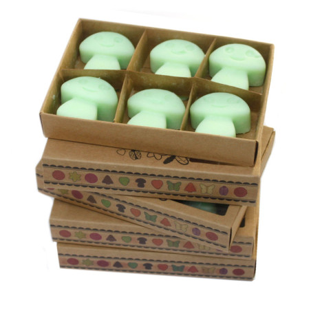 Coffret cadeau de 6 fondants de cire - Réglisse