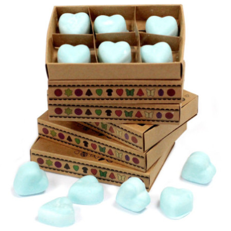Coffret cadeau de 6 fondants de cire - Nagchampa