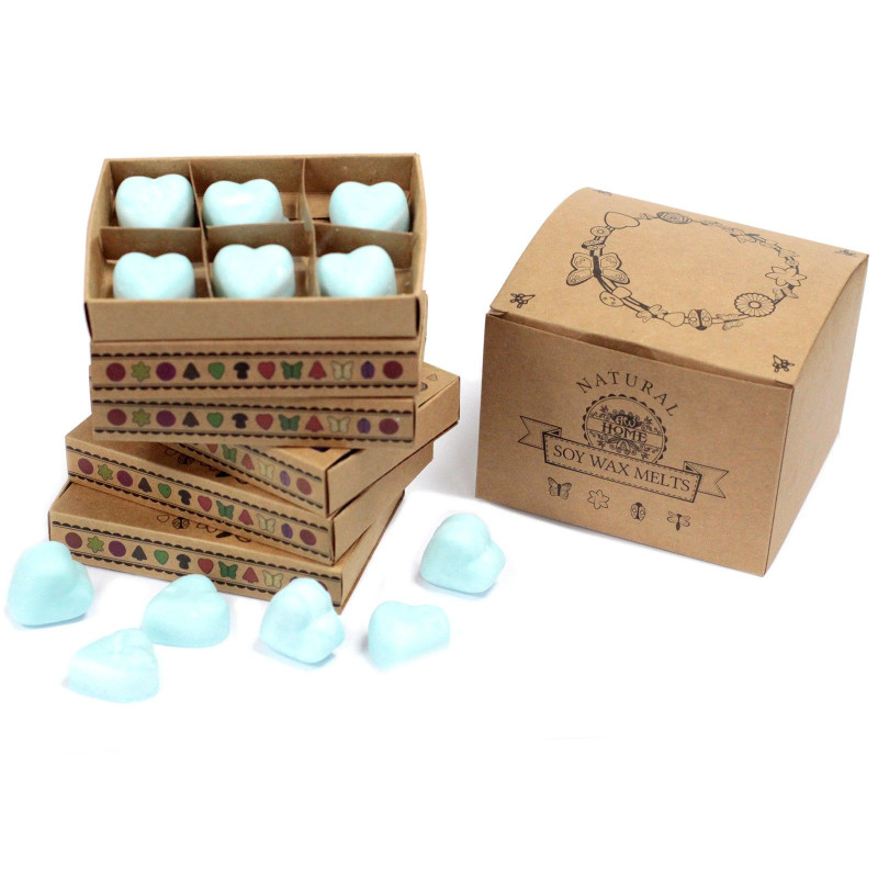 Coffret cadeau de 6 fondants de cire - Nagchampa