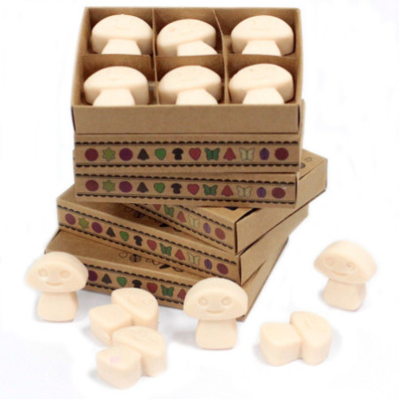Coffret cadeau de 6 fondants de cire - Vanille et noix de muscade