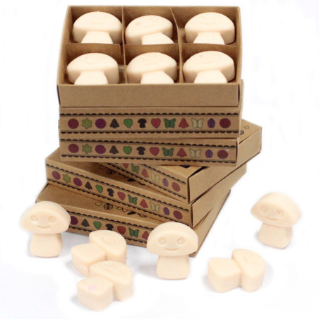 Coffret cadeau de 6 fondants de cire - Vanille et noix de muscade
