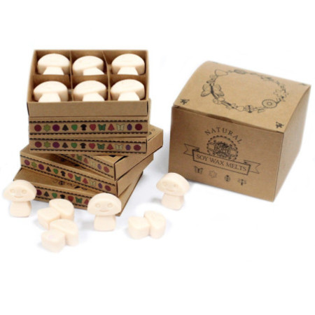 Coffret cadeau de 6 fondants de cire - Vanille et noix de muscade