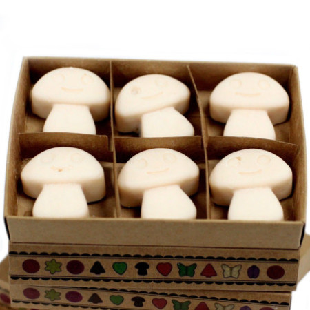 Coffret cadeau de 6 fondants de cire - Vanille et noix de muscade