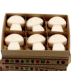 Coffret cadeau de 6 fondants de cire - Vanille et noix de muscade