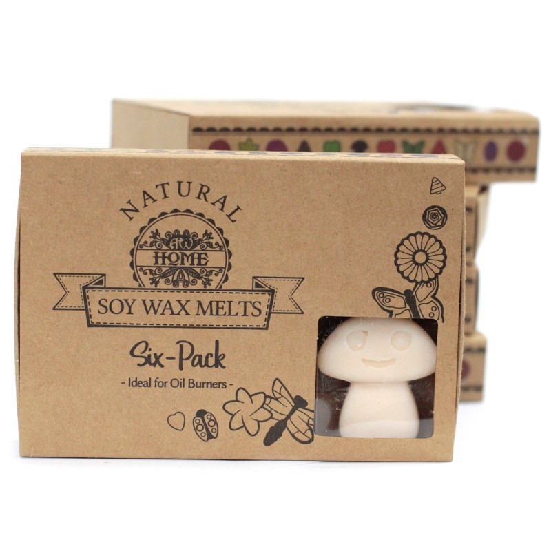 Coffret cadeau de 6 fondants de cire - Vanille et noix de muscade