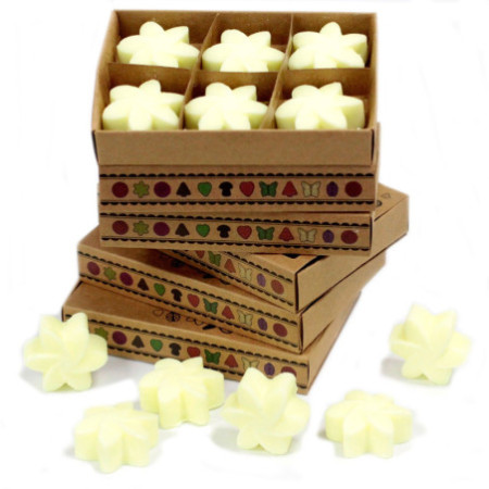 Coffret cadeau de 6 fondants de cire - Récolte de citrons