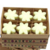 Coffret cadeau de 6 fondants de cire - Récolte de citrons
