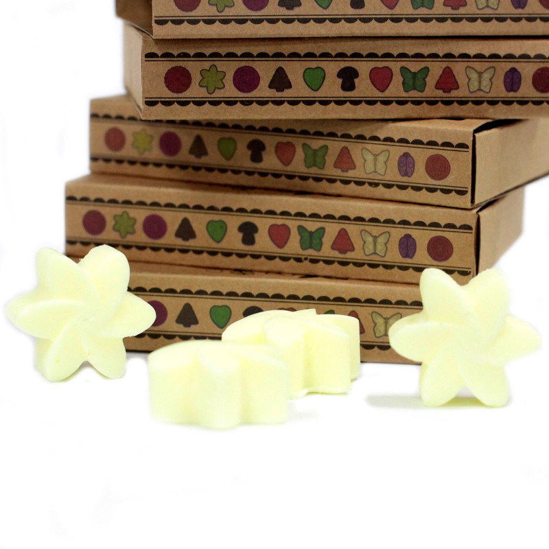 Coffret cadeau de 6 fondants de cire - Récolte de citrons