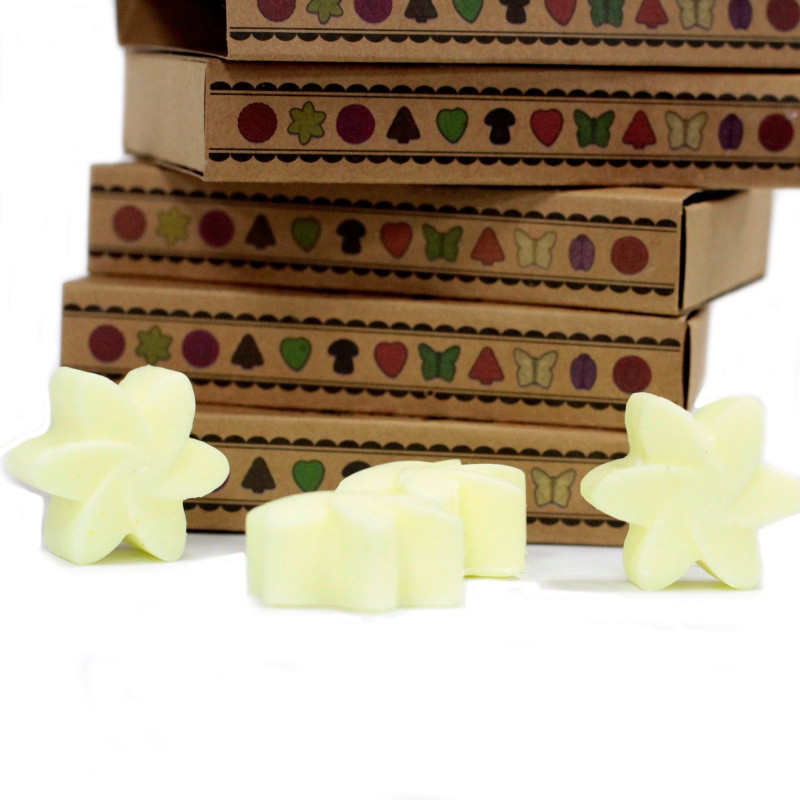 Coffret cadeau de 6 fondants de cire - Récolte de citrons