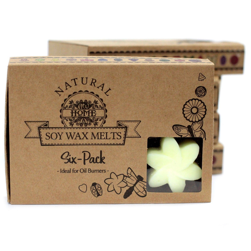 Coffret cadeau de 6 fondants de cire - Récolte de citrons