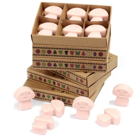 Coffret cadeau de 6 fondants de cire - Old Ginger